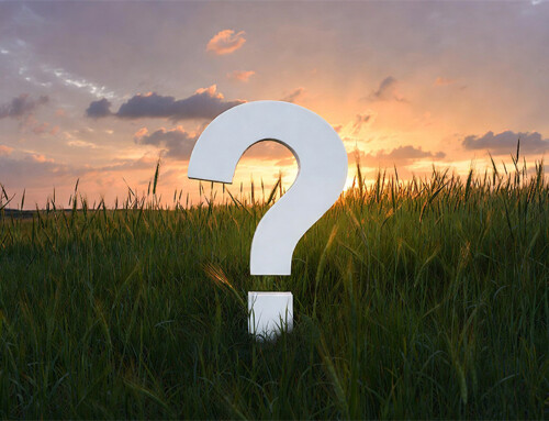 Évaluation environnementale de site Phase 2 : qu’est-ce qui la déclenche après une Phase 1 ?