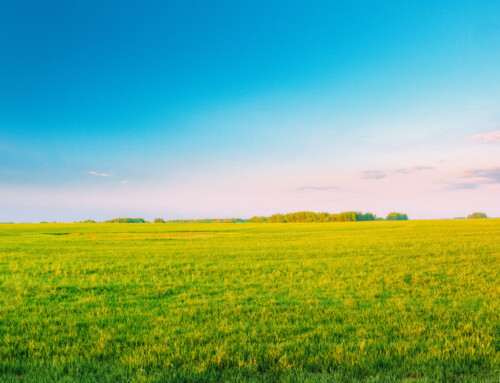 Analyse de sol vente terrain