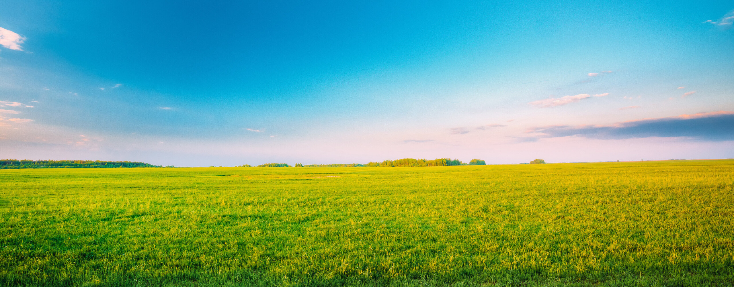 analyse de sol vente terrain