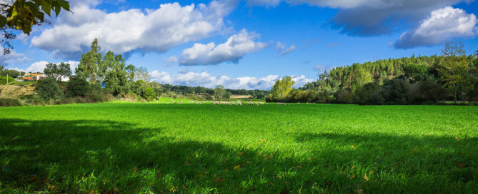 étude environnementale Phase 1