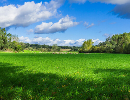 Prix d’une étude environnementale Phase 1 au Québec (2026)