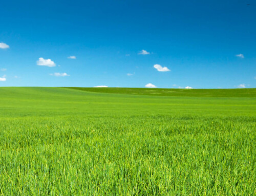 Évaluation environnementale de site phase 1