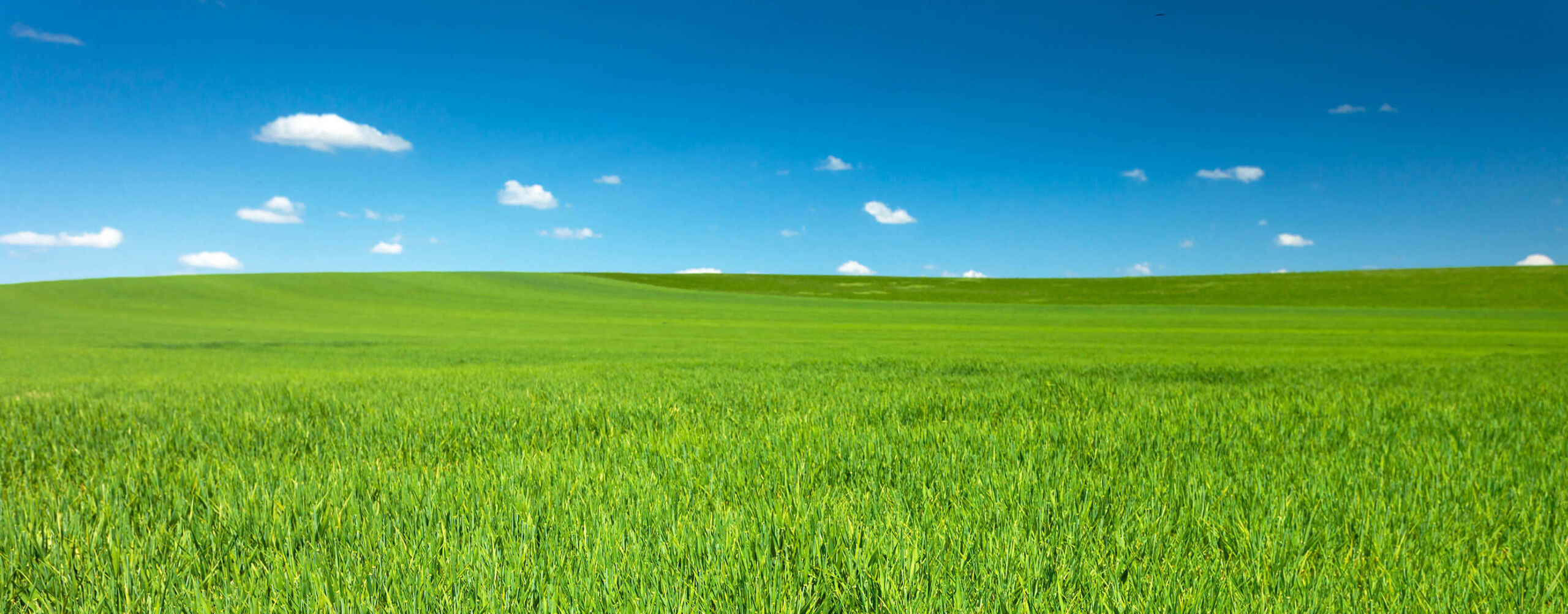 évaluation environnementale de site phase 1