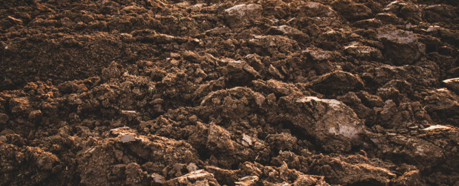 Excavation de sols contaminés