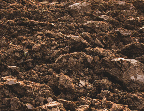 Excavation sols contaminés