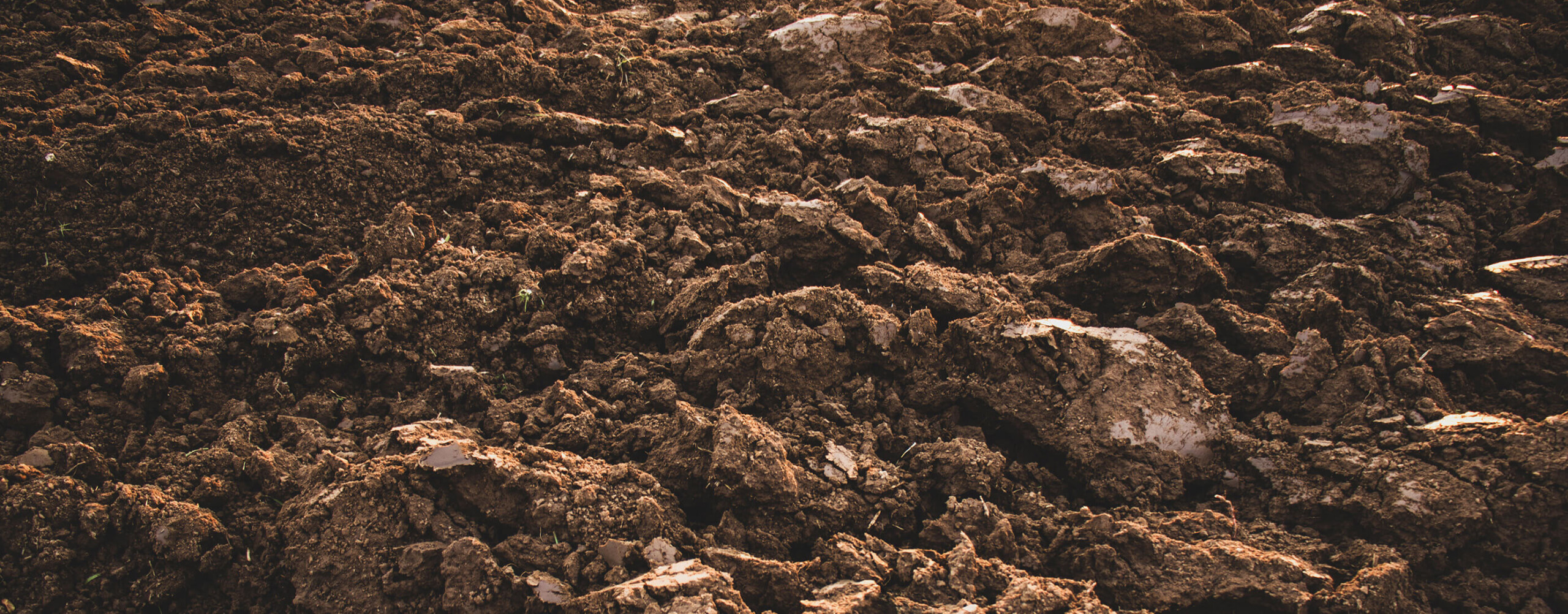 Excavation de sols contaminés
